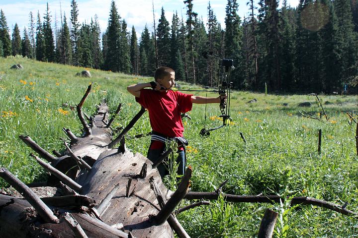 IMG_1324.jpg - A wolf is about to die (if only it weren't 3D???)