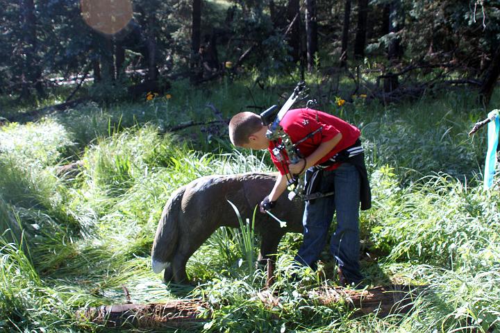 IMG_1331.jpg - It died!