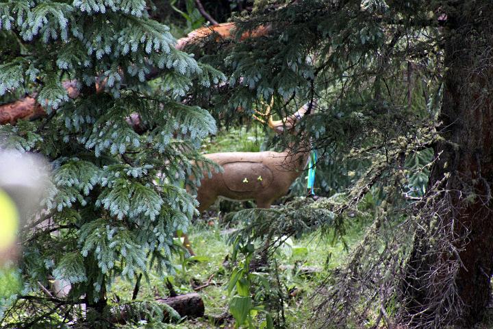 IMG_1354.jpg - Mine on the left, Colton's on the right.